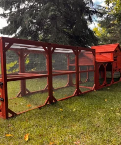 Chicken Coop for 4 Chickens – Leghorn Cottage Chicken Coop