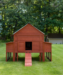 chicken coop for 15 chickens
