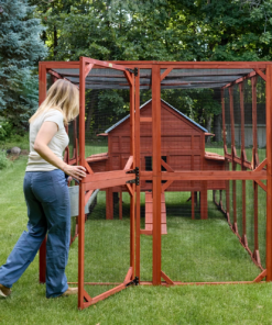 chicken coop for sale